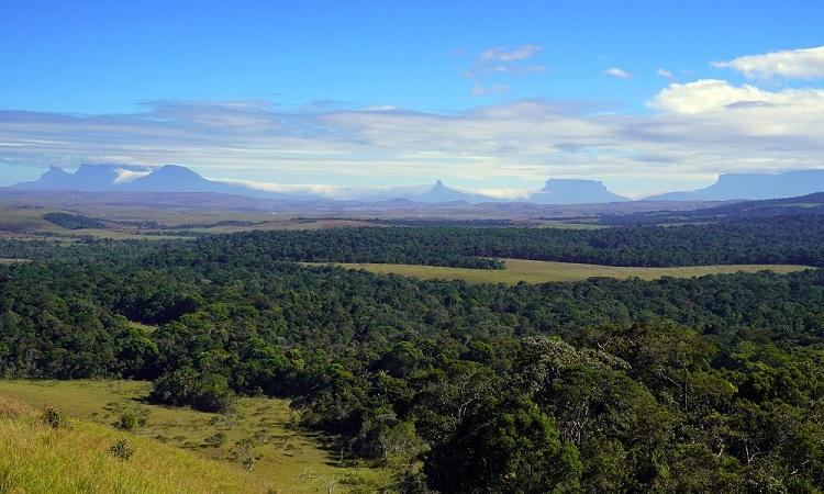 Paisaje de la Gran Sabana en Venezuela